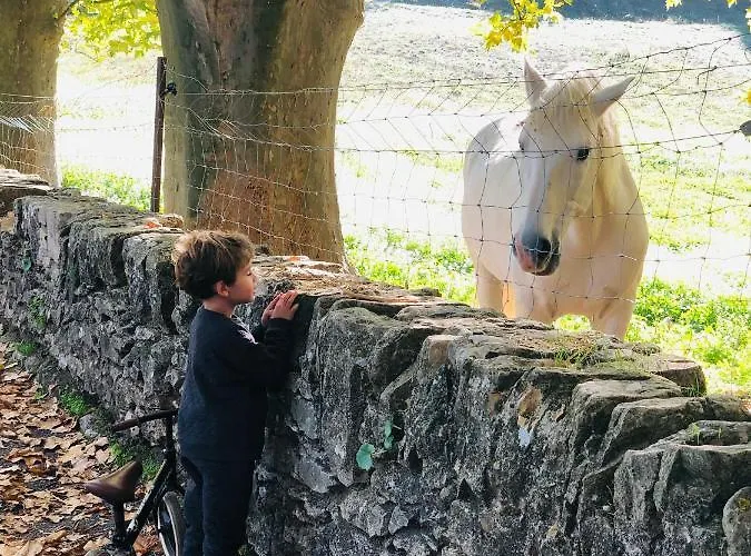 La Maison Du Château Villa Esparron-de-Verdon